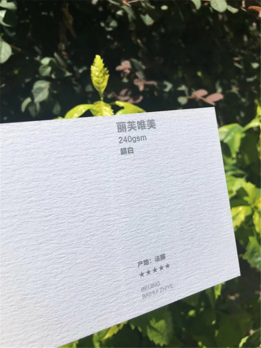 丽芙创意240g   超白  法国