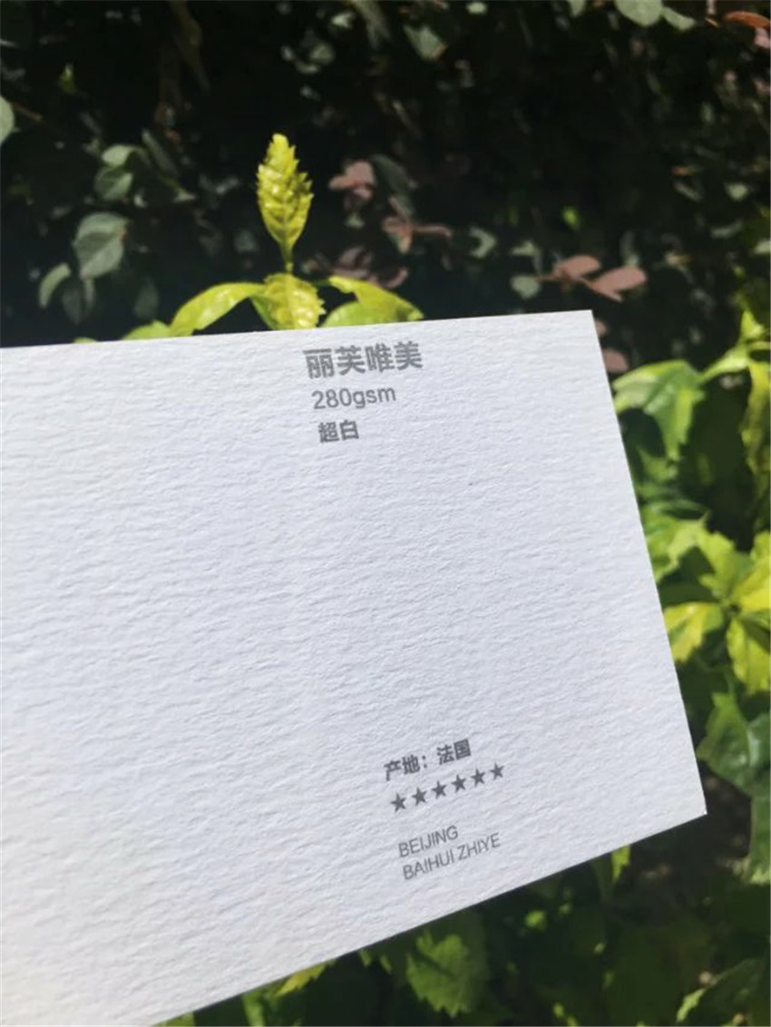 丽芙创意280g   超白  法国