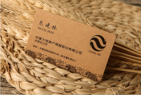 永登大地财产保险股份有限公司名片设计欣赏