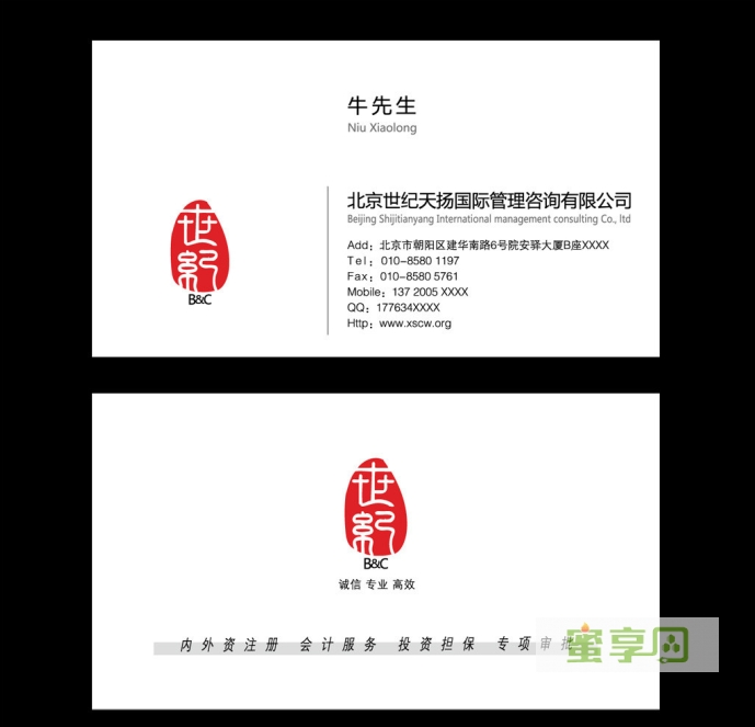 北京世纪天扬国际管理咨询有限公司   名片设计欣赏