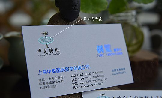上海中览国际贸易有限公司名片设计欣赏