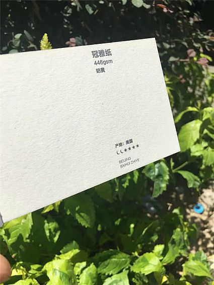 冠雅纸446g 奶黄 美国