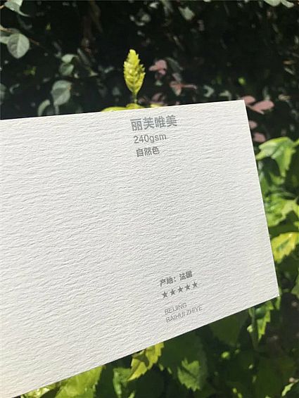 丽芙创意240g   自然色  法国