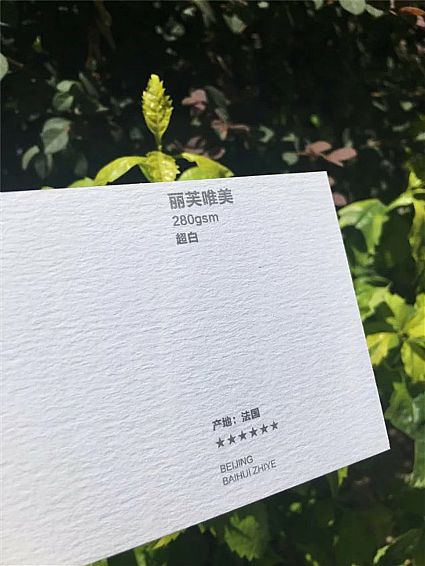 丽芙创意280g   超白  法国