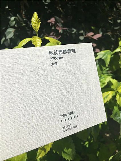 丽芙超感典雅270g   米白 法国