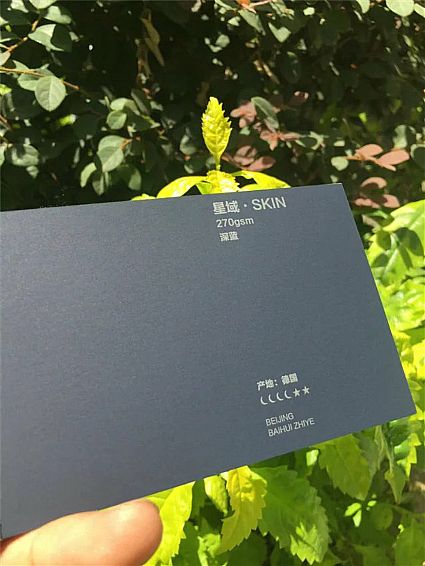 星域-SKIN  270g    深蓝  德国