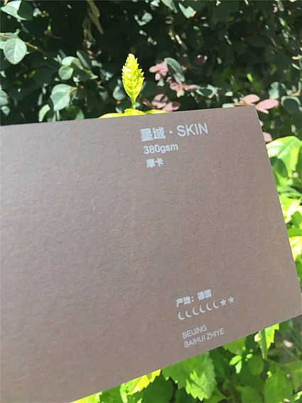 星域-SKIN  380g   摩卡 德国