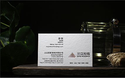 上海三立控股有限公司名片设计欣赏