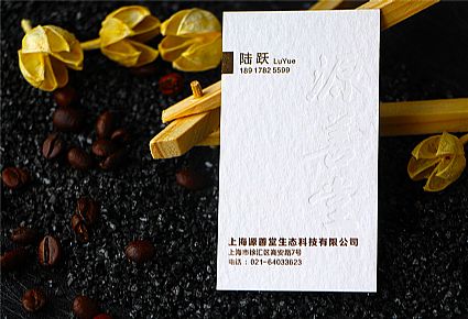 上海源善堂生态科技有限公司名片设计欣赏