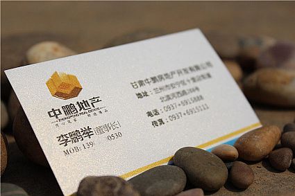 甘肃中鹏房地产开发有限公司名片设计欣赏