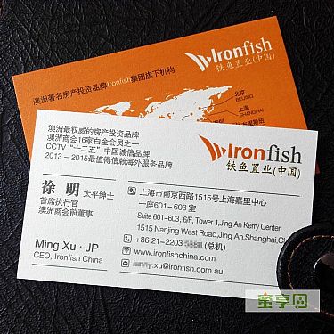 铁鱼置业（中国）有限公司 名片设计欣赏