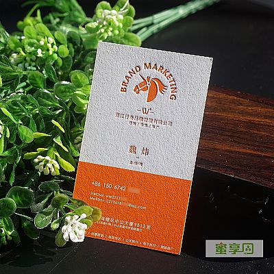 浙江行叁品牌管理有限公司名片设计欣赏