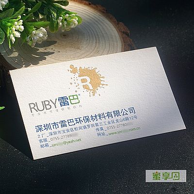 深圳市雷巴环保材料有限公司名片设计欣赏
