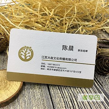 江苏大叔文化传播有限公司名片设计欣赏