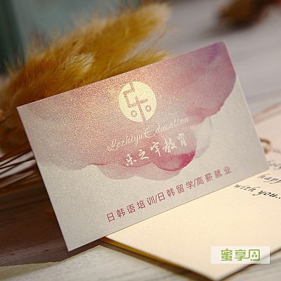 乐之宇教育有限公司名片设计欣赏