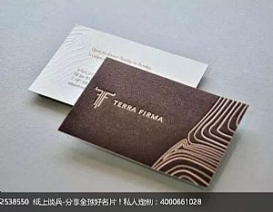 TERRA  FIRAM 名片设计欣赏