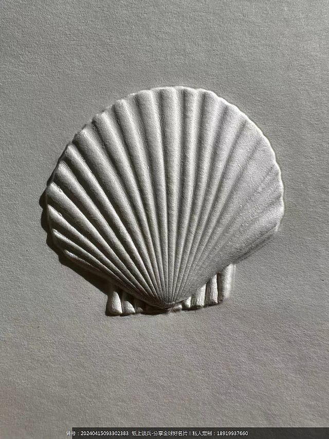贝壳3D立体浮雕工艺名片600克棉纸